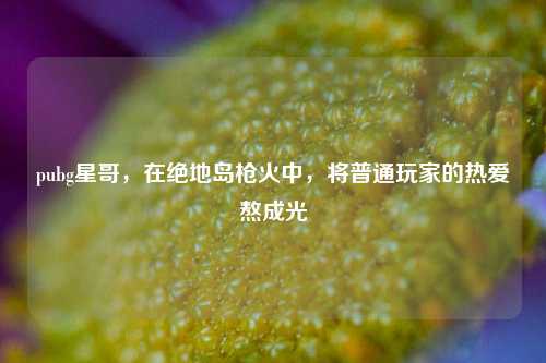 pubg星哥,在绝地岛枪火中,将普通玩家的热爱熬成光