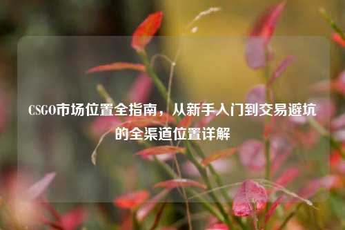 CSGO市场位置全指南,从新手入门到交易避坑的全渠道位置详解