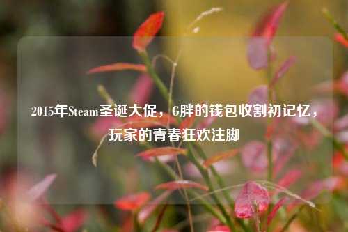 2015年Steam圣诞大促，G胖的钱包收割初记忆，玩家的青春狂欢注脚
