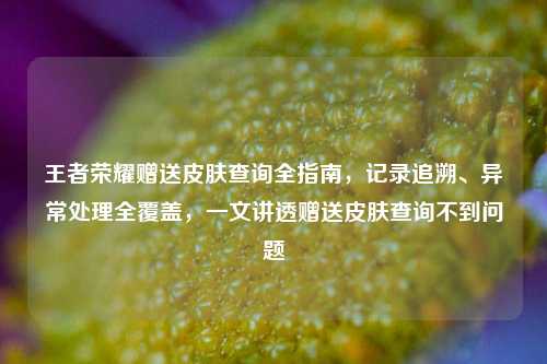 王者荣耀赠送皮肤查询全指南,记录追溯、异常处理全覆盖,一文讲透赠送皮肤查询不到问题