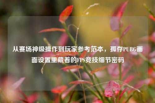 从赛场神级操作到玩家参考范本，孤存PUBG画面设置里藏着的FPS竞技细节密码