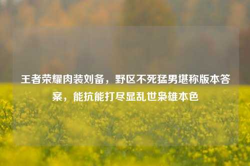 王者荣耀肉装刘备,野区不死猛男堪称版本答案,能抗能打尽显乱世枭雄本色