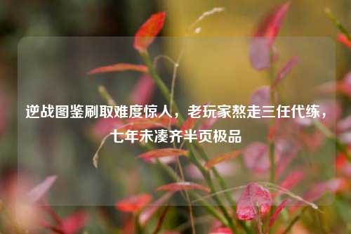 逆战图鉴刷取难度惊人，老玩家熬走三任代练，七年未凑齐半页极品