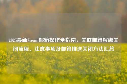 2025最新Steam邮箱操作全指南,关联邮箱解绑关闭流程、注意事项及邮箱推送关闭方法汇总