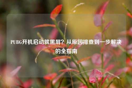 PUBG开机启动就黑屏？从原因排查到一步解决的全指南