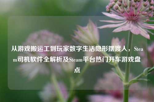 从游戏搬运工到玩家数字生活隐形摆渡人，Steam司机软件全解析及Steam平台热门开车游戏盘点