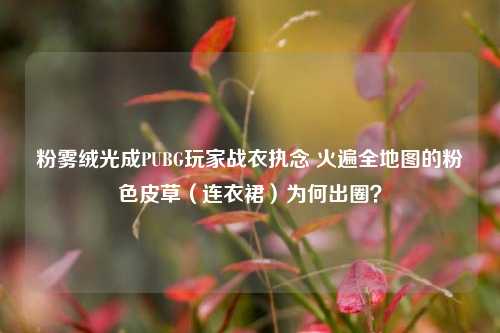 粉雾绒光成PUBG玩家战衣执念 火遍全地图的粉色皮草(连衣裙)为何出圈?