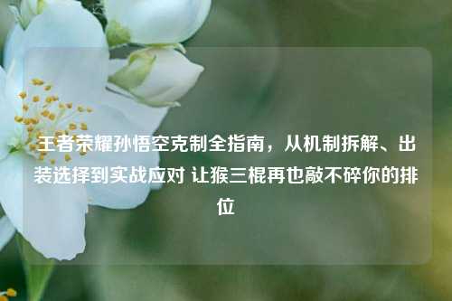 王者荣耀孙悟空克制全指南，从机制拆解、出装选择到实战应对 让猴三棍再也敲不碎你的排位