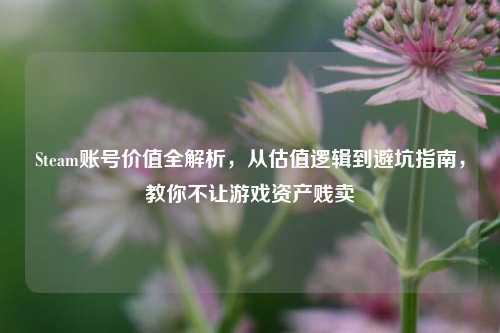 Steam账号价值全解析，从估值逻辑到避坑指南，教你不让游戏资产贱卖