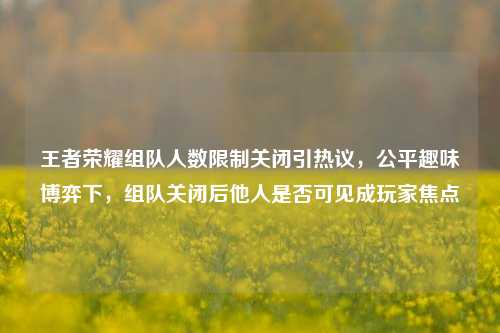 王者荣耀组队人数限制关闭引热议，公平趣味博弈下，组队关闭后他人是否可见成玩家焦点
