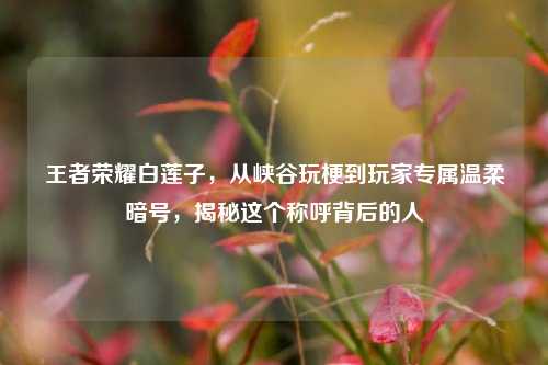 王者荣耀白莲子，从峡谷玩梗到玩家专属温柔暗号，揭秘这个称呼背后的人