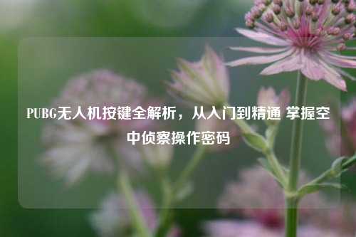 PUBG无人机按键全解析，从入门到精通 掌握空中侦察操作密码