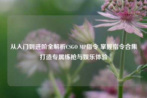 从入门到进阶全解析CSGO MP指令 掌握指令合集打造专属练枪与娱乐体验
