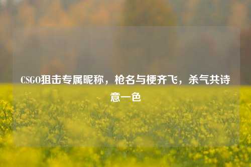 CSGO狙击专属昵称，枪名与梗齐飞，杀气共诗意一色