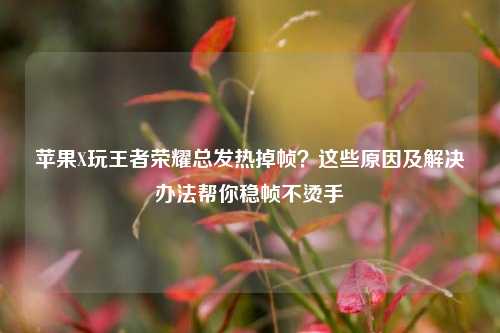 苹果X玩王者荣耀总发热掉帧？这些原因及解决办法帮你稳帧不烫手