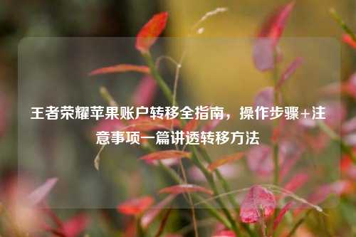 王者荣耀苹果账户转移全指南，操作步骤+注意事项一篇讲透转移方法