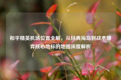 和平精英机场位置全解，从经典海岛到战术博弈核心地标的地图深度解析