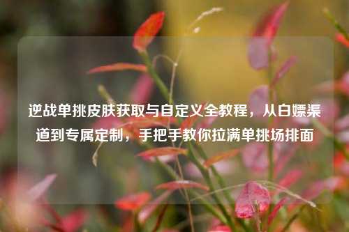 逆战单挑皮肤获取与自定义全教程，从白嫖渠道到专属定制，手把手教你拉满单挑场排面