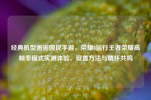 经典机型邂逅国民手游，荣耀8运行王者荣耀高帧率模式实测体验、设置方法与情怀共鸣