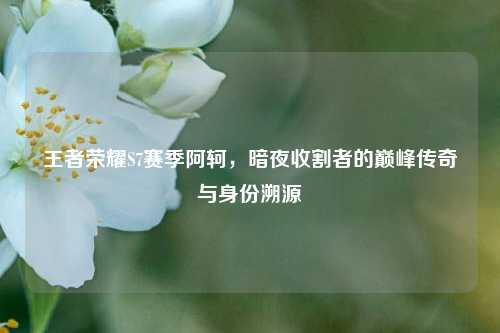 王者荣耀S7赛季阿轲，暗夜收割者的巅峰传奇与身份溯源