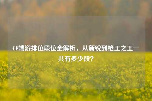 CF端游排位段位全解析，从新锐到枪王之王一共有多少段？