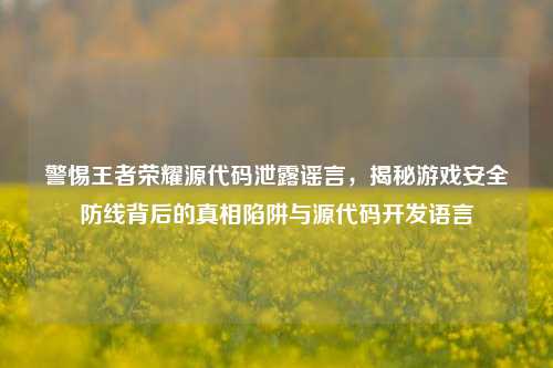 警惕王者荣耀源代码泄露谣言，揭秘游戏安全防线背后的真相陷阱与源代码开发语言
