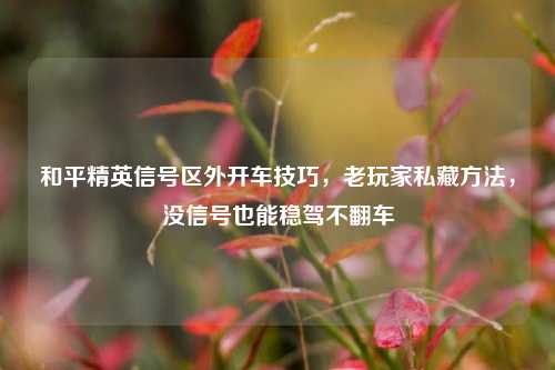 和平精英信号区外开车技巧，老玩家私藏方法，没信号也能稳驾不翻车