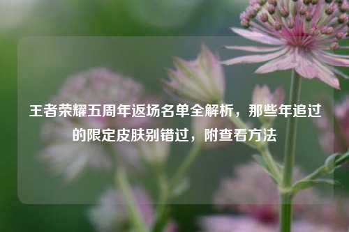 王者荣耀五周年返场名单全解析，那些年追过的限定皮肤别错过，附查看方法