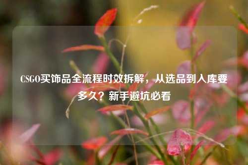 CSGO买饰品全流程时效拆解，从选品到入库要多久？新手避坑必看