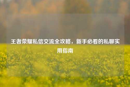 王者荣耀私信交流全攻略，新手必看的私聊实用指南