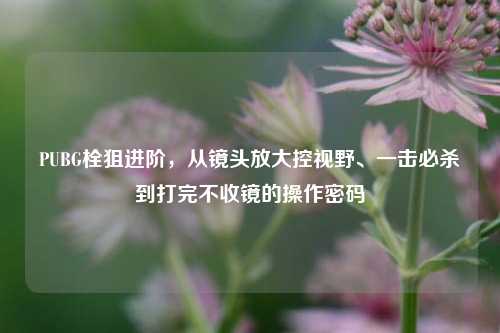 PUBG栓狙进阶，从镜头放大控视野、一击必杀到打完不收镜的操作密码