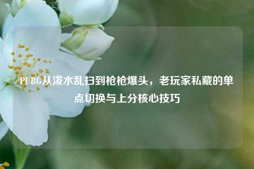 PUBG从泼水乱扫到枪枪爆头，老玩家私藏的单点切换与上分核心技巧