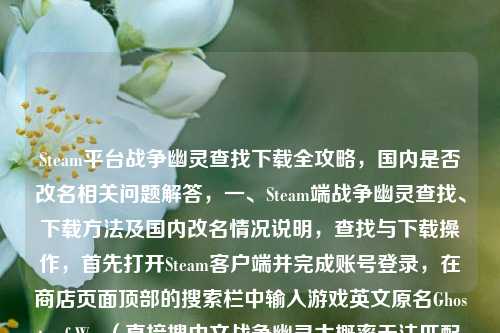 Steam平台战争幽灵查找下载全攻略，国内是否改名相关问题解答，一、Steam端战争幽灵查找、下载方法及国内改名情况说明，查找与下载操作，首先打开Steam客户端并完成账号登录，在商店页面顶部的搜索栏中输入游戏英文原名Ghosts of War（直接搜中文战争幽灵大概率无法匹配到对应游戏），在弹出的搜索结果里找到对应二战题材射击类的战争幽灵条目，点击进入游戏商店页后，若游戏处于可获取状态，点击添加到库/安装按钮，按照页面提示完成下载路径设置等操作，即可自动完成下载安装流程。，国内改名相关说明，目