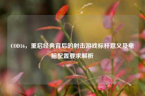COD16，重启经典背后的射击游戏标杆意义及电脑配置要求解析