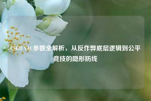 CSGO VAC参数全解析,从反作弊底层逻辑到公平竞技的隐形防线