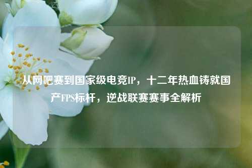 从网吧赛到国家级电竞IP,十二年热血铸就国产FPS标杆,逆战联赛赛事全解析