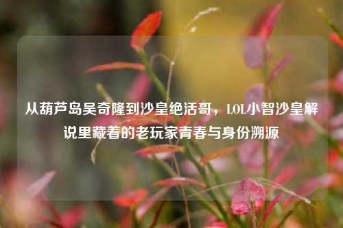 从葫芦岛吴奇隆到沙皇绝活哥，LOL小智沙皇解说里藏着的老玩家青春与身份溯源