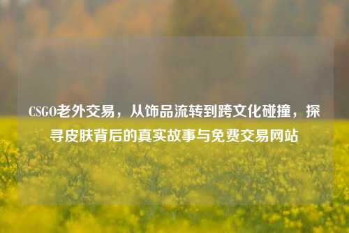 CSGO老外交易,从饰品流转到跨文化碰撞,探寻皮肤背后的真实故事与免费交易网站