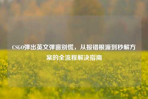 CSGO弹出英文弹窗别慌,从报错根源到秒解方案的全流程解决指南