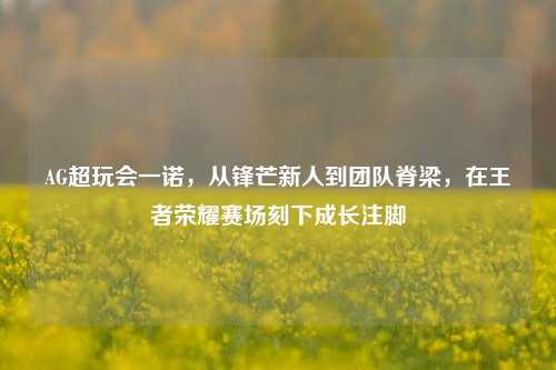 AG超玩会一诺,从锋芒新人到团队脊梁,在王者荣耀赛场刻下成长注脚