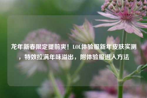 龙年新春限定提前爽！LOL体验服新年皮肤实测，特效拉满年味溢出，附体验服进入方法