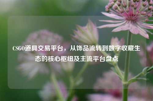 CSGO道具交易平台,从饰品流转到数字收藏生态的核心枢纽及主流平台盘点