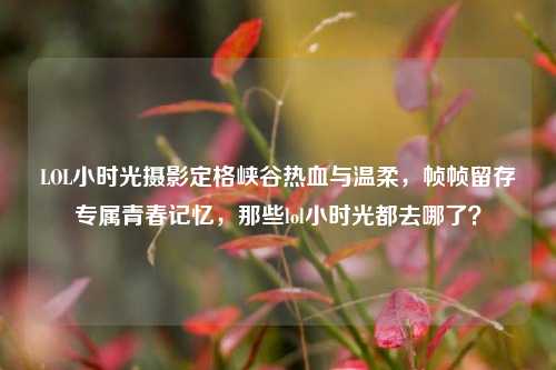 LOL小时光摄影定格峡谷热血与温柔,帧帧留存专属青春记忆,那些lol小时光都去哪了?