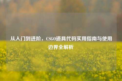 从入门到进阶，CSGO道具代码实用指南与使用边界全解析