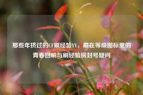 那些年挤过的CF刷经验YY,藏在等级图标里的青春回响与刷经验房封号疑问