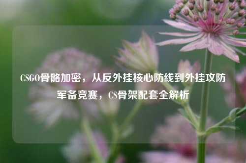 CSGO骨骼加密，从反外挂核心防线到外挂攻防军备竞赛，CS骨架配套全解析