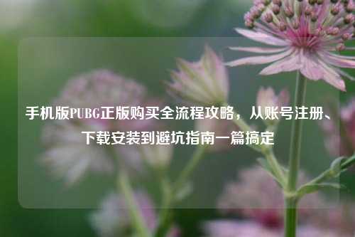 手机版PUBG正版购买全流程攻略,从账号注册、下载安装到避坑指南一篇搞定