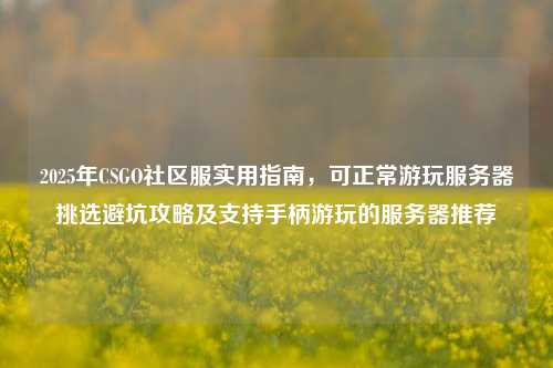 2025年CSGO社区服实用指南,可正常游玩服务器挑选避坑攻略及支持手柄游玩的服务器推荐
