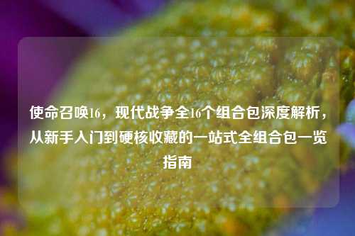 使命召唤16，现代战争全16个组合包深度解析，从新手入门到硬核收藏的一站式全组合包一览指南