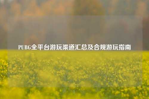 PUBG全平台游玩渠道汇总及合规游玩指南